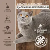 слайд 5