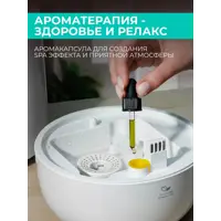 слайд 4