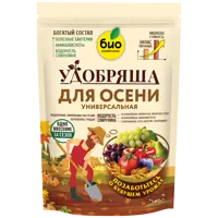 слайд 0