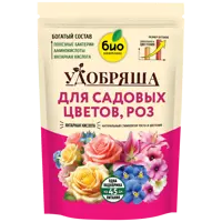 слайд 0