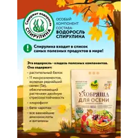 слайд 3