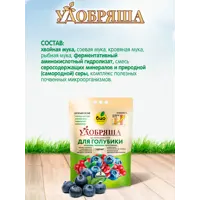 слайд 5