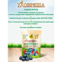 слайд 4