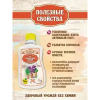 слайд 4