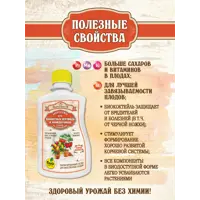 слайд 4
