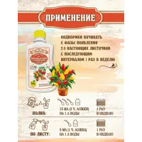 слайд 5