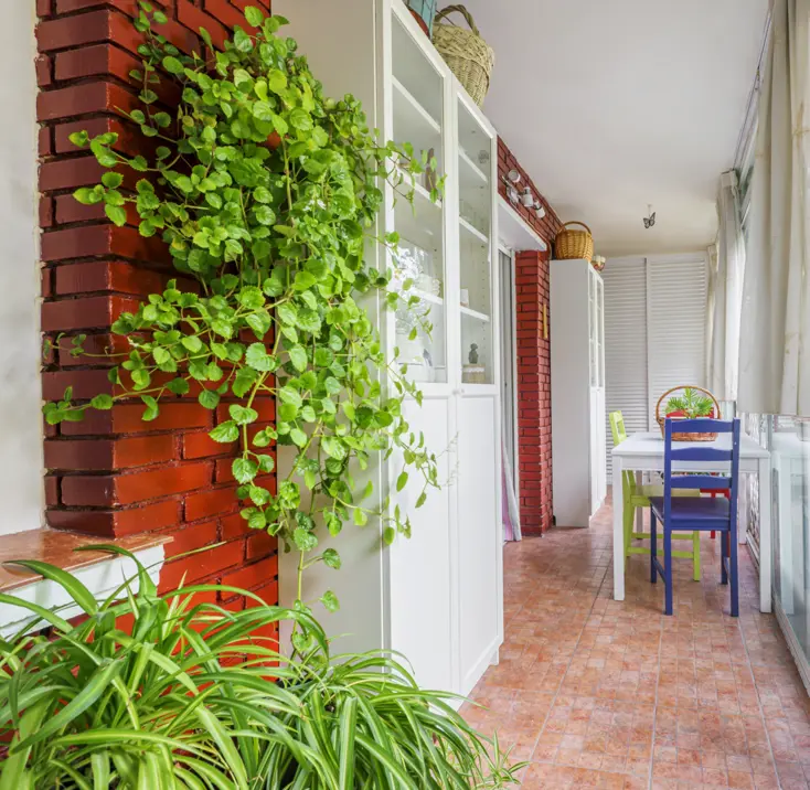 Просторный балкон с растениями.