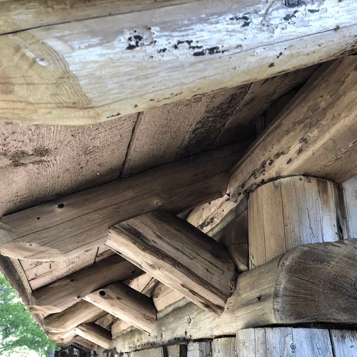 Осмотрите крышу и потолок.