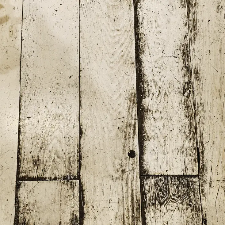 Осмотрите фундамент и пол.