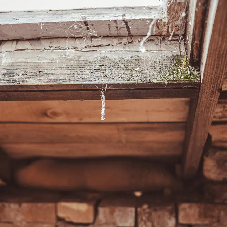 Проверьте стены.