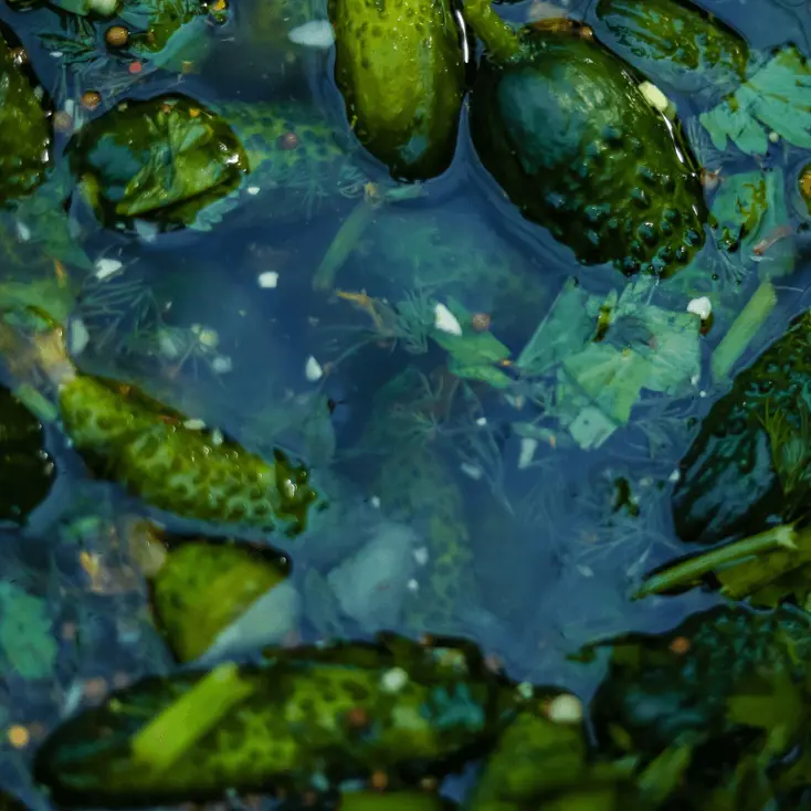 Ферментация огурцов.