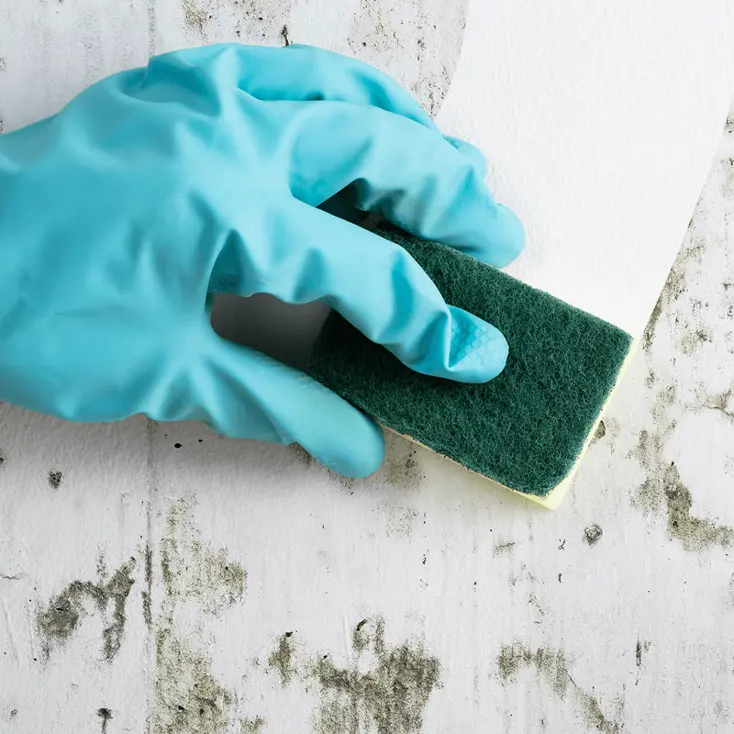 Мытьё стены губкой.