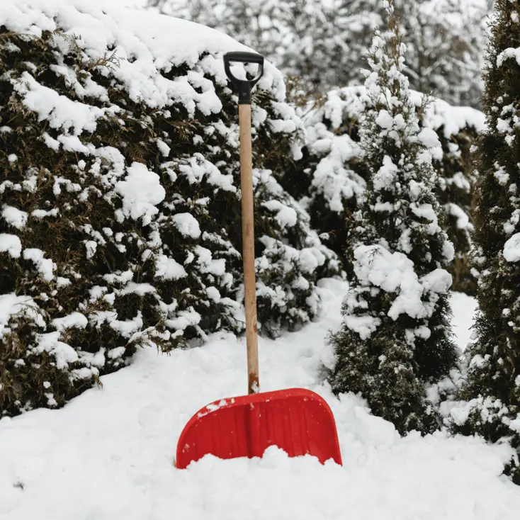 Лопата для уборки снега.