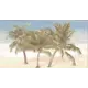 Декор Tropic 3, 25х45 см