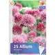 Аллиум круглоголовый микс 5/+ 25 шт