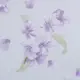 Тюль «Амор» 1 п/м 280 см фиолетовые цветы