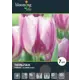 Тюльпан «Флеминг Клаб» 12, 5 шт.