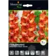 Гладиолус крупноцветковый Апач 12/14, 7 шт