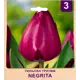 Тюльпан Триумф «Negrita» размер луковицы 10/11, 3 шт.
