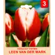 Тюльпан «Leen Van Der Mark» размер луковицы 10/11, 3 шт.