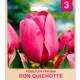 Тюльпан «Don Quichotte» размер луковицы 10/11, 3 шт.