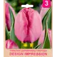 Тюльпан «Design Impression» размер луковицы 10/11, 3 шт.