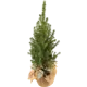 Ель Коника с джутом 15x60 см