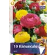 Лютик Микс смесь окрасок 6/7, 15 шт