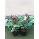 Эустома 9x10 см