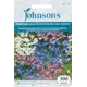 Семена цветов Незабудка лесная Разноцветная смесь окрасок Johnsons