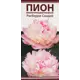Пионы травянистые Расберри Сандей