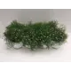Гипсофила 12x35 см