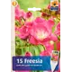 Фрезия махровая розовый луковица 5+ 3 шт
