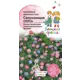 Семена Брахикома «Сверкающая» микс