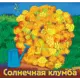 Набор семян «Солнечная клумба» 9 сортов