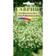 Семена Гипсофила метельчатая махровая белая