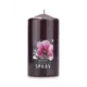 Декоративная свеча Spaas Дикая орхидея 0004800184