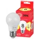 Лампа Эра RED LINE ECO LED A55-8W-827-E27 E27 220 В 8 Вт груша матовая 640 Лм теплый белый свет