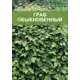 Граб обыкновенный 2 л h40 см