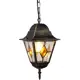 Светильник подвесной уличный Arte Lamp Berlin A1015SO-1BN IP44