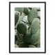 Постер Дом Корлеоне Кактус 07-0434-21x30, 21x30 см