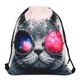 Защитный мешок для обуви Cat in glasses Homsu PF-S-15