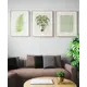 Постер Простопостер "Пальма и листья" 40x30 см