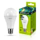 Светодиодная лампа Ergolux LED-A65-20W-E27-3K 13182