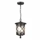 Светильник подвесной уличный ST Luce SL085.403.01 черный