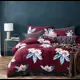 Комплект постельного белья Tango Dream Fly семейный DF05-272-70 код1112