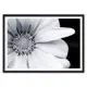 Картина в раме Дом корлеоне 30x21 см 07-0662-21x30