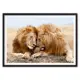 Постер в рамке ДОМ Корлеоне Львы - 30x40 см