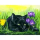 Картина по номерам на картоне "Кот и крокусы", 30x40 см 3113-CS