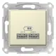 Розетка USB Schneider Electric SEDNA SDN2710247